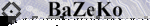 Baner2