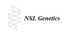 Nsl genetics logo gimp   kopia
